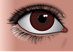 eye